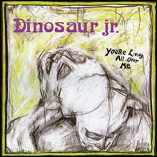 Dinosaur Jr 