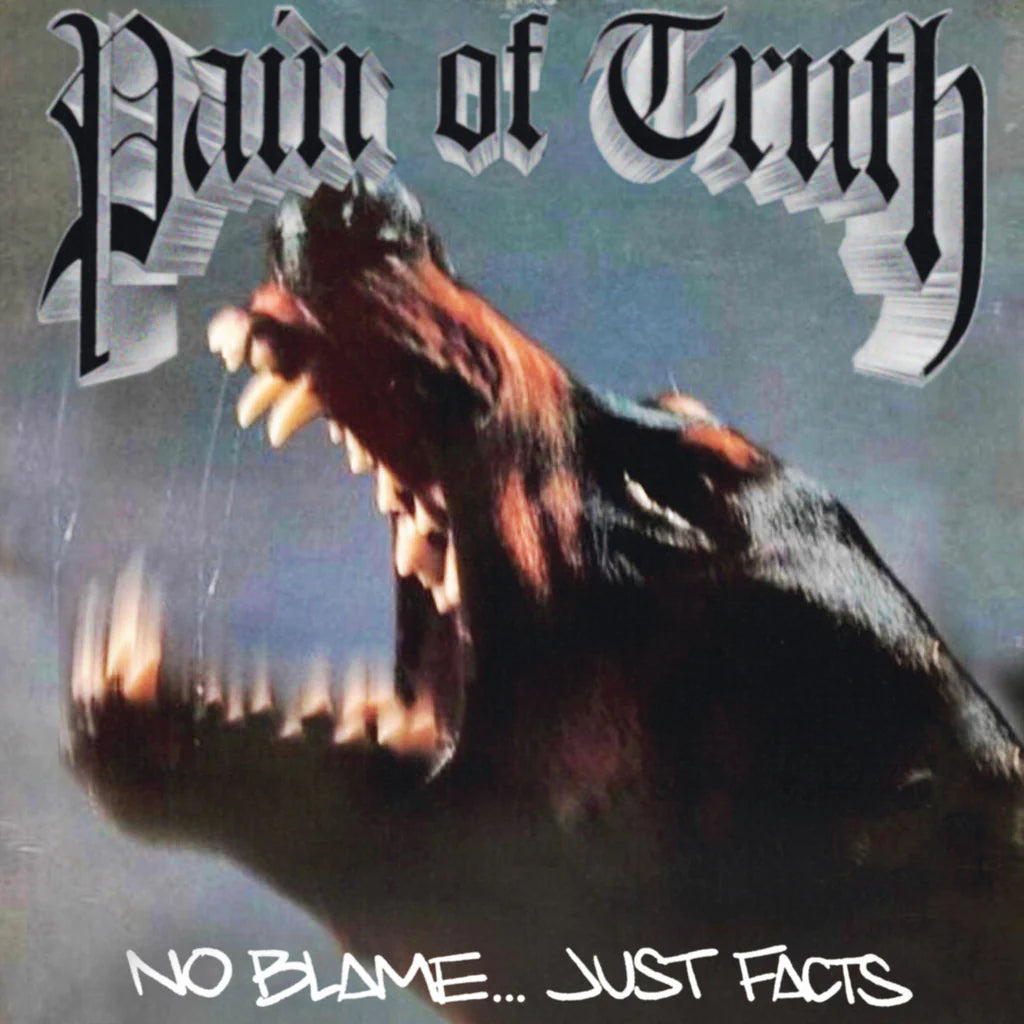 Pain Of Truth "No Blame... Just Facts" 12" Vinyl