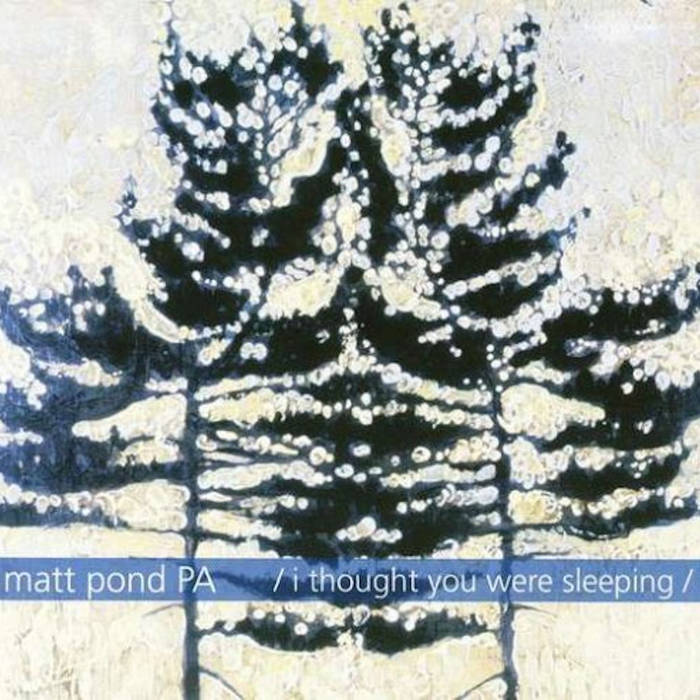 Matt Pond PA "I Thought You Were Sleeping" CD